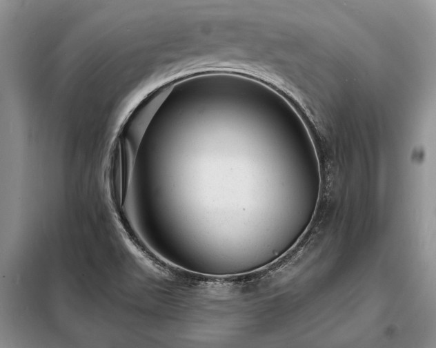 X0000098201511200805011135
