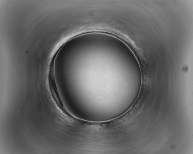 X0000098201512200805011135