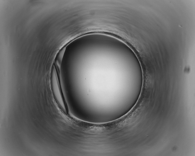 X0000098201513200805011135