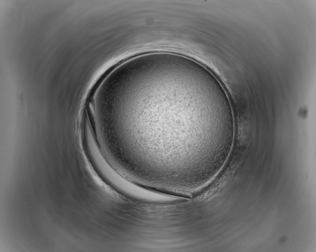 X0000098201515200805011135