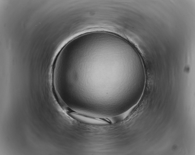 X0000098201516200805011135