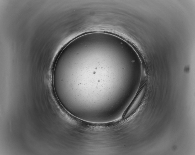 X0000098201517200805011135