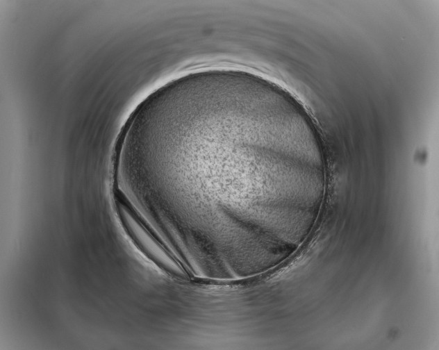 X0000098201518200805011135
