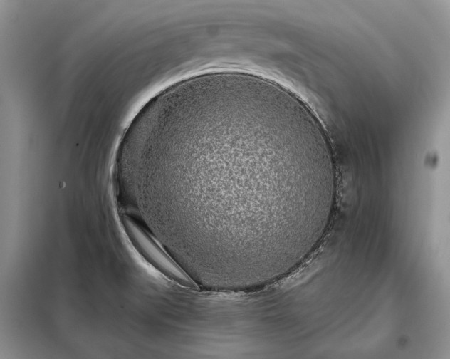 X0000098201519200805011135