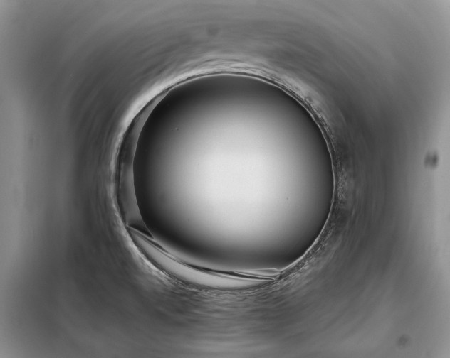 X0000098201520200805011135