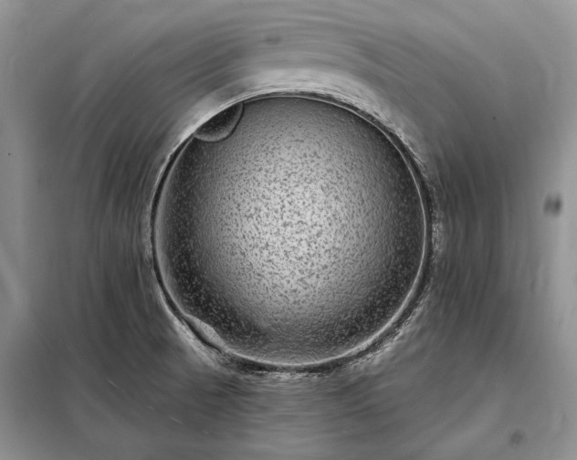 X0000098201521200805011135