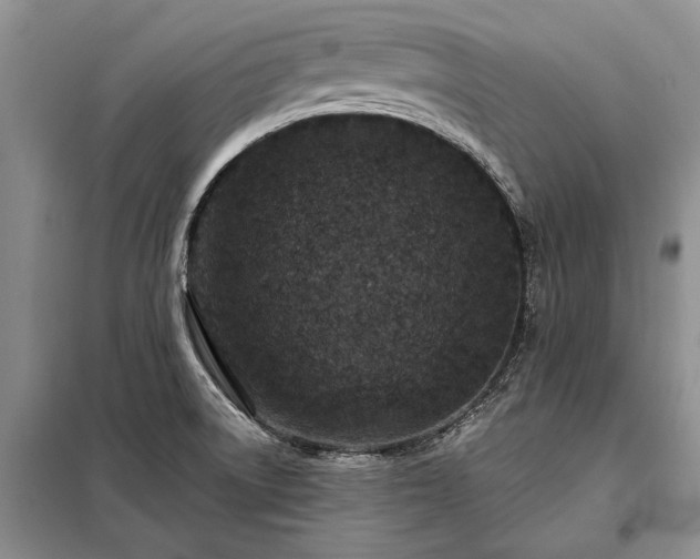 X0000098201522200805011135
