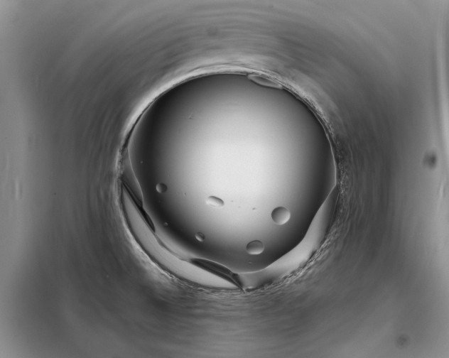 X0000098201524200805011135