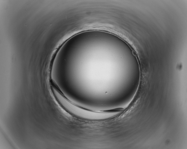 X0000098201525200805011135