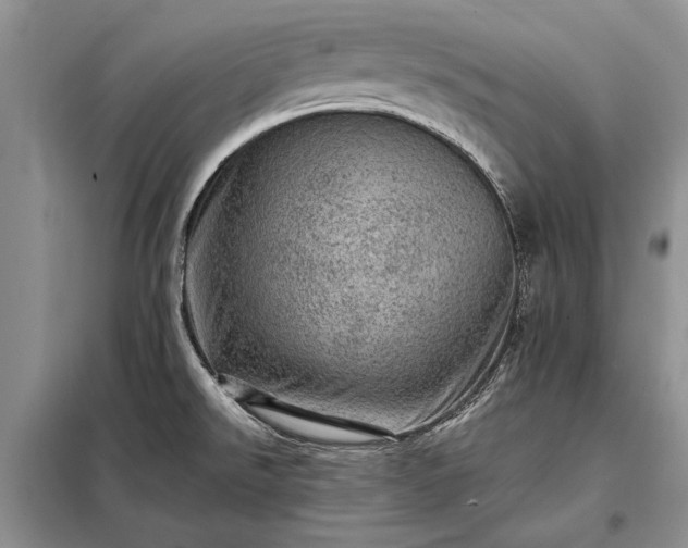 X0000098201526200805011135