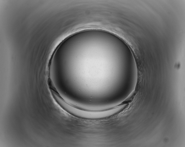 X0000098201527200805011135