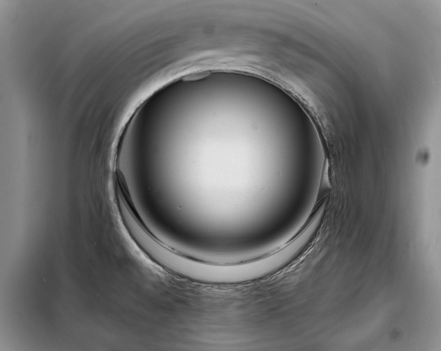 X0000098201528200805011135