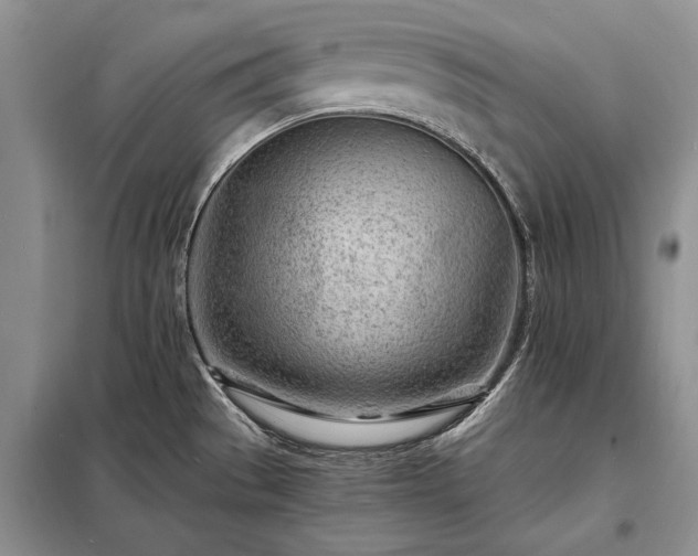 X0000098201529200805011135