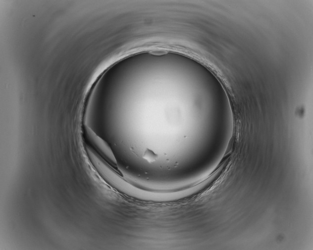 X0000098201530200805011135