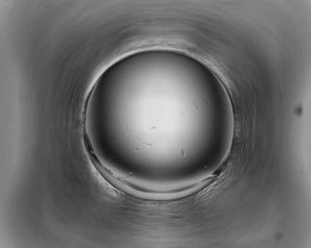 X0000098201532200805011135