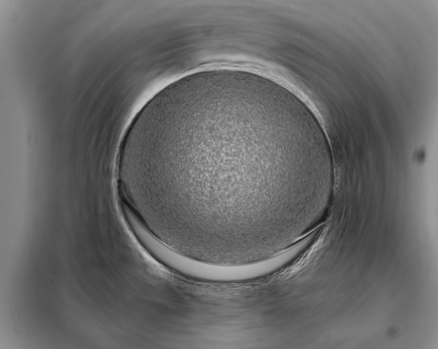 X0000098201533200805011135
