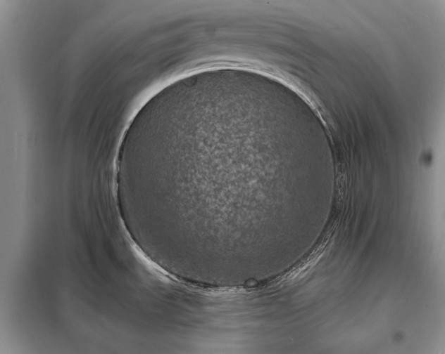 X0000098201535200805011135