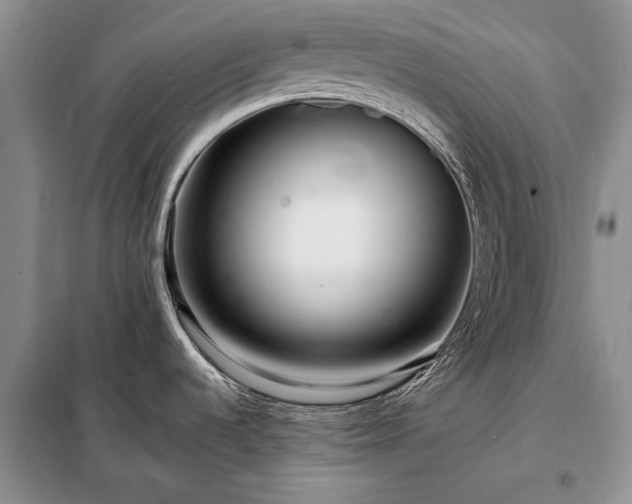 X0000098201536200805011135