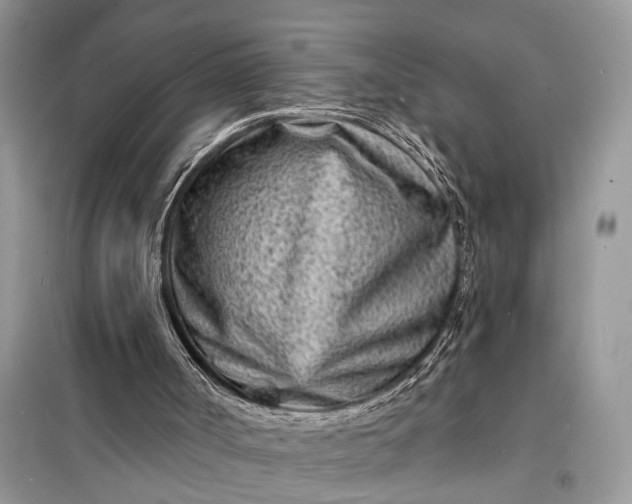X0000098200002200805081122