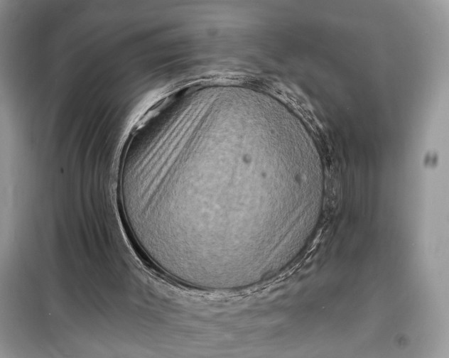X0000098200003200805081122