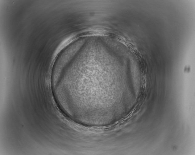 X0000098200004200805081122