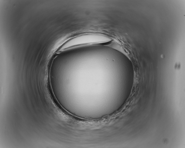 X0000098200005200805081122