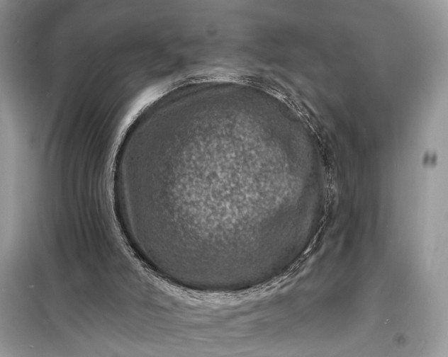 X0000098200006200805081122