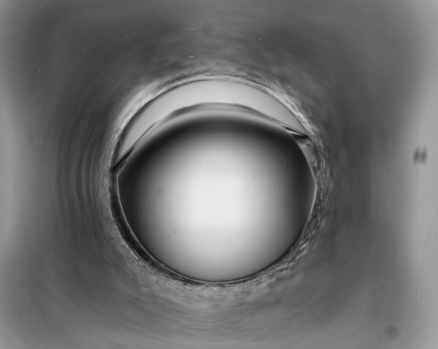 X0000098200007200805081122