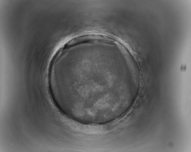 X0000098200008200805081122