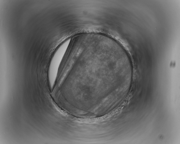 X0000098200009200805081122