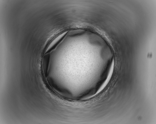 X0000098200010200805081122