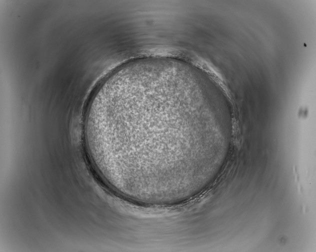 X0000098200012200805081122