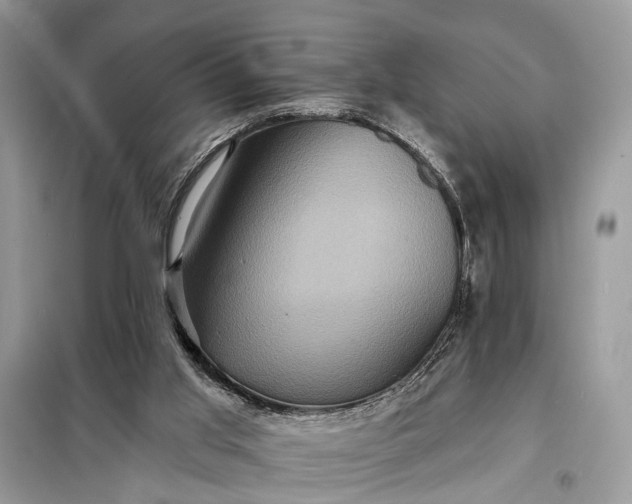 X0000098200013200805081122