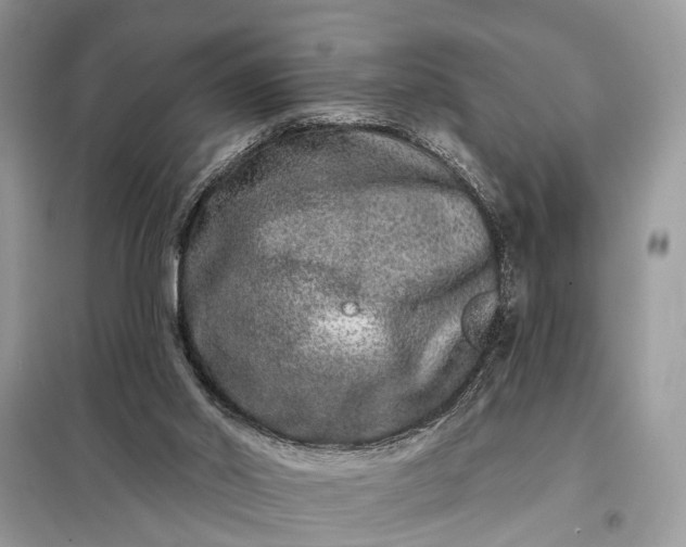 X0000098200014200805081122