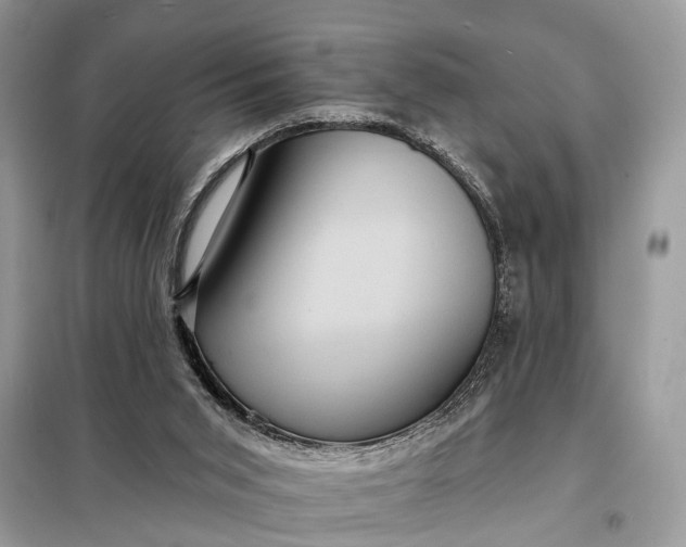 X0000098200015200805081122