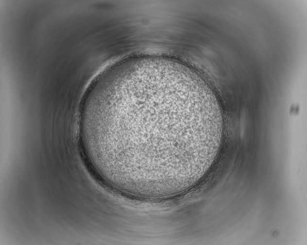 X0000098200016200805081122