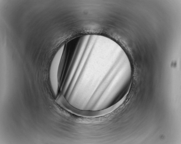 X0000098200017200805081122