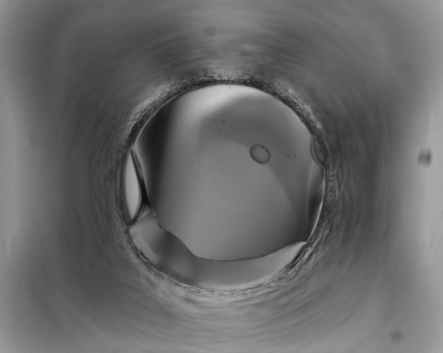 X0000098200019200805081122