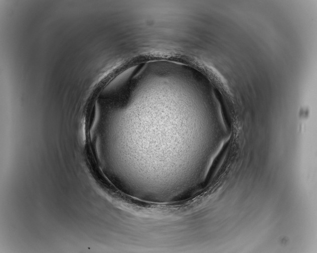 X0000098200020200805081122