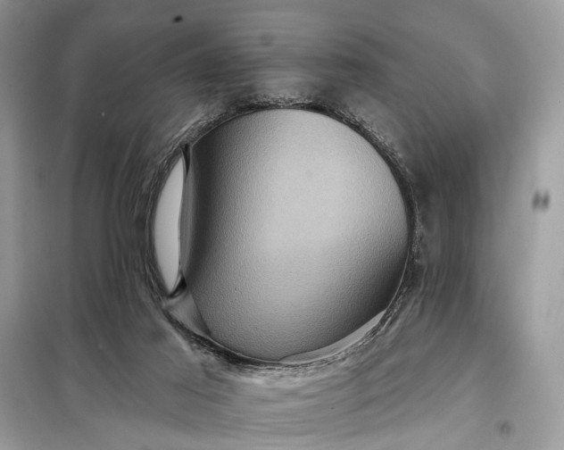 X0000098200021200805081122