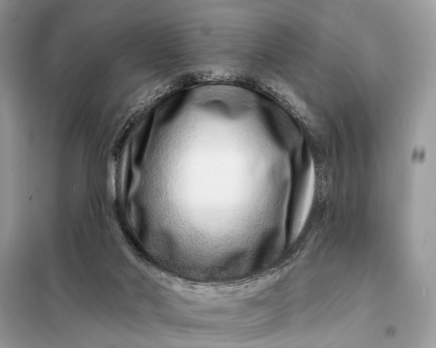 X0000098200022200805081122