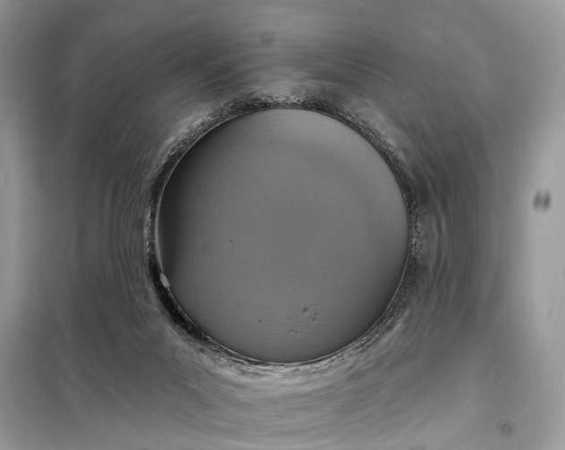 X0000098200023200805081122
