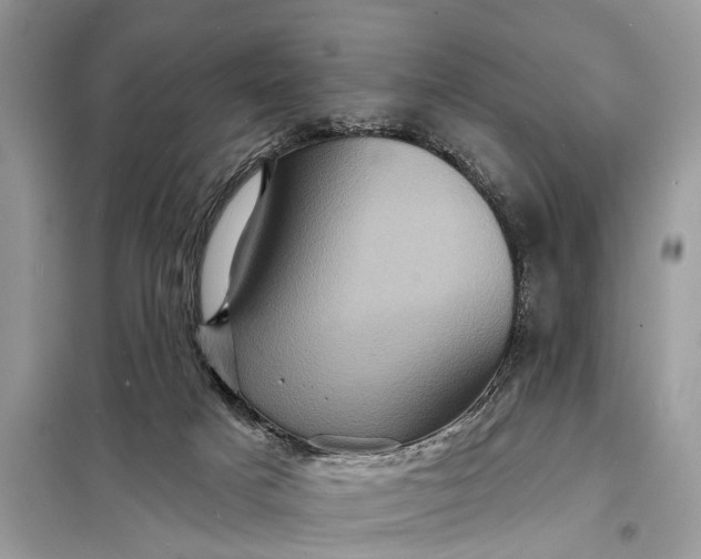 X0000098200025200805081122