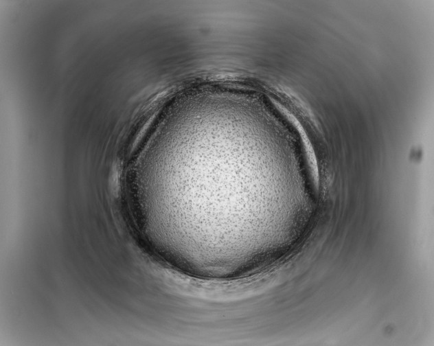 X0000098200026200805081122