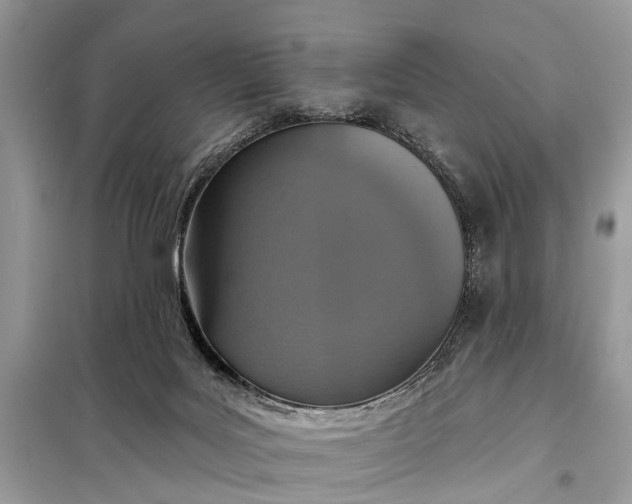X0000098200027200805081122