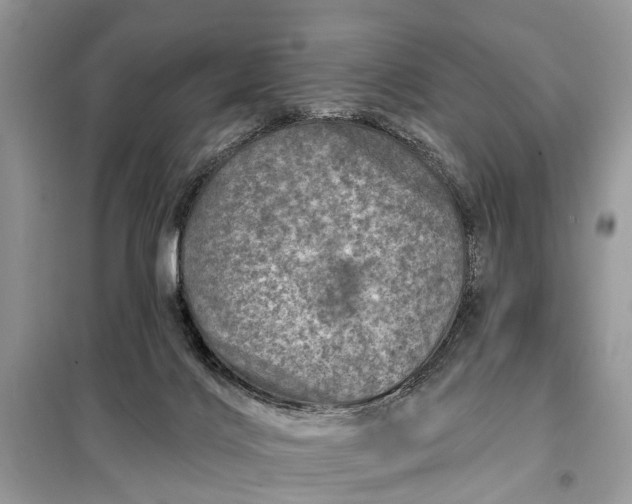 X0000098200028200805081122