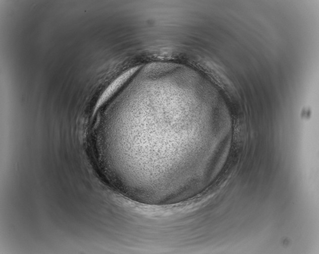X0000098200030200805081122