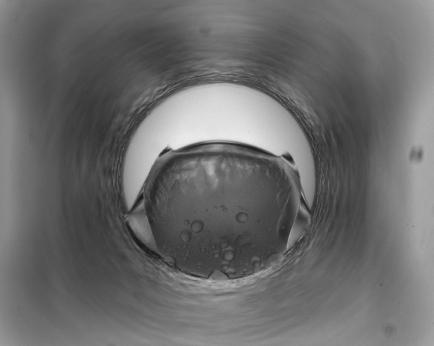 X0000098200031200805081122