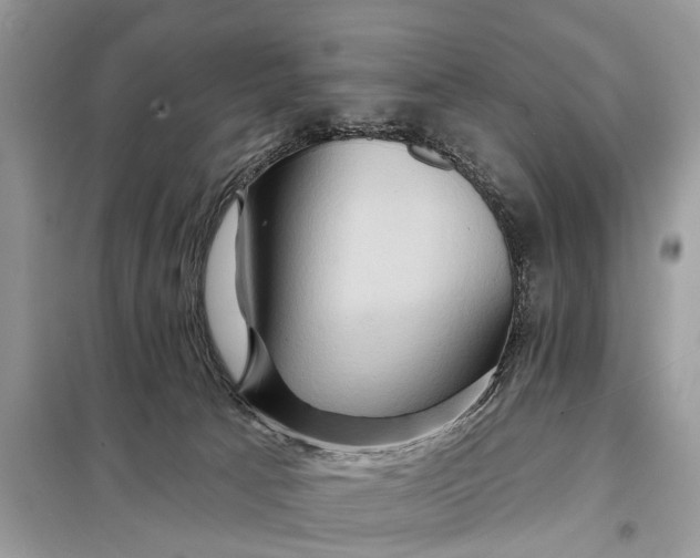 X0000098200033200805081122