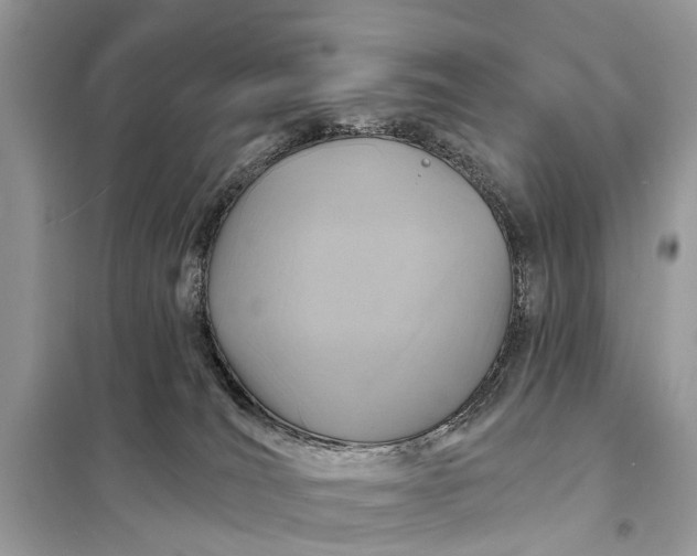 X0000098200036200805081122